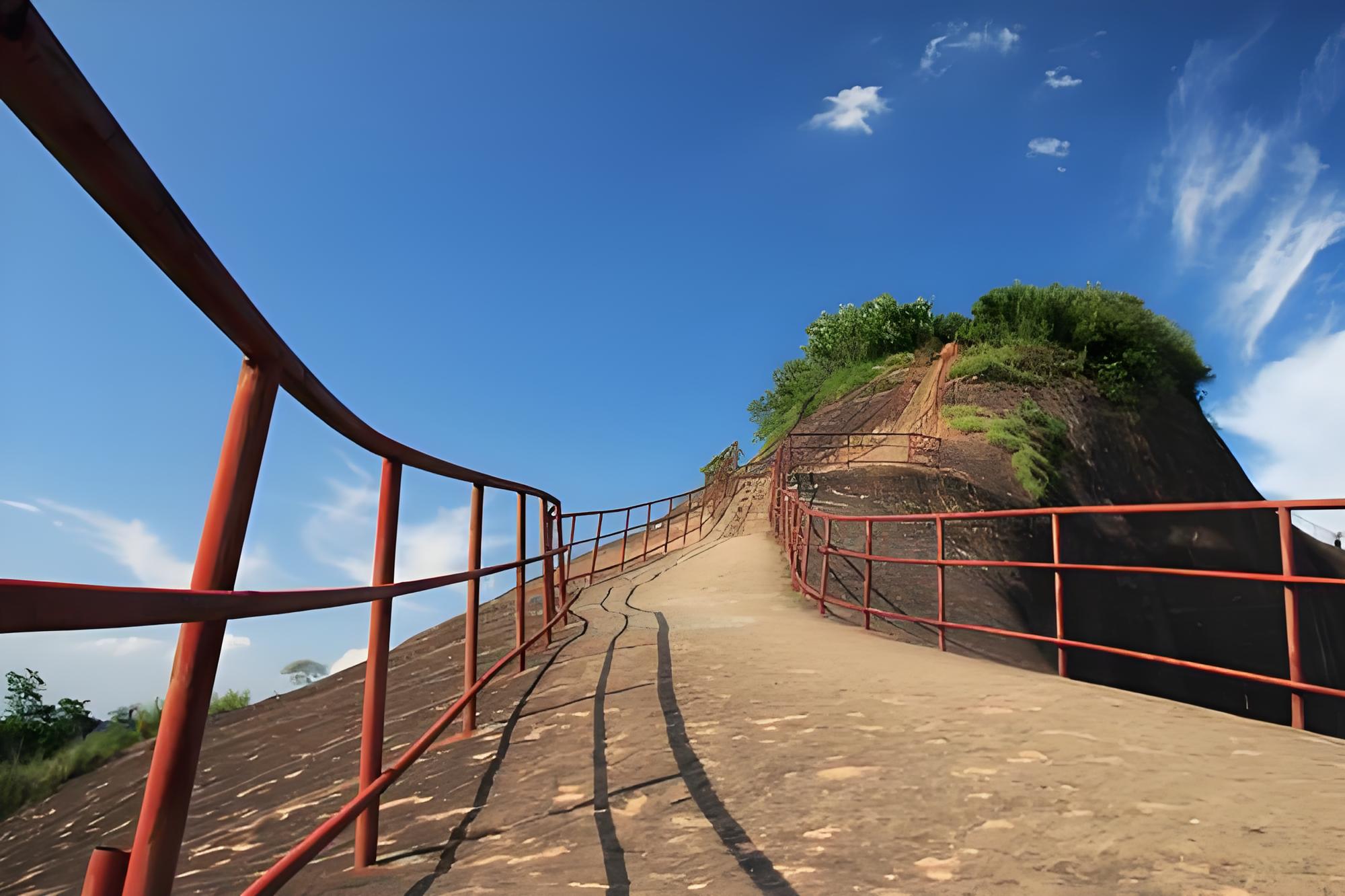 Safari(1 Activities) ac792b8d-2792-4460-832a-e957f3c9a761.jpg