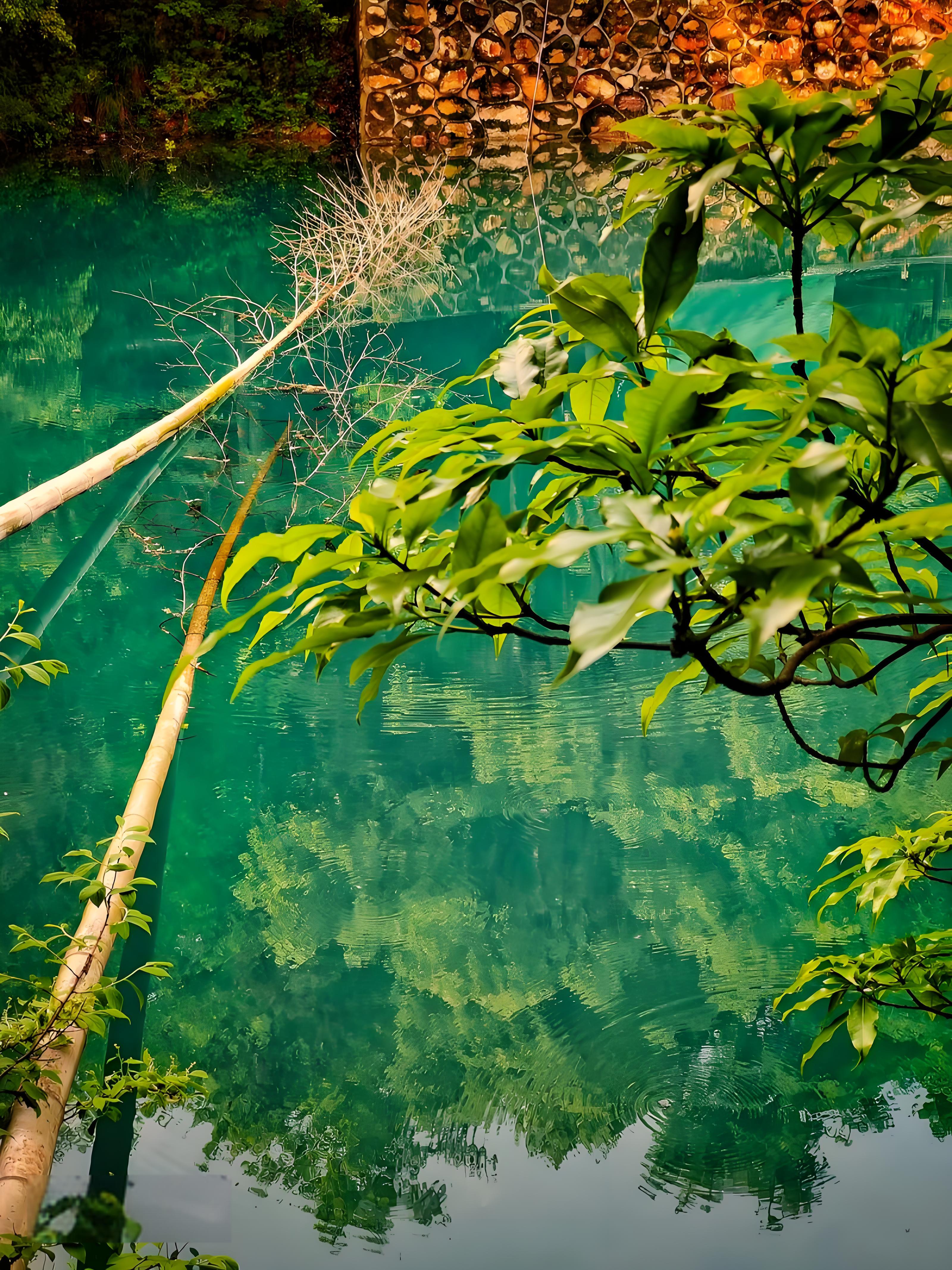 仰天湖手记：在离云最近的地方，捡到被风吹散的自己