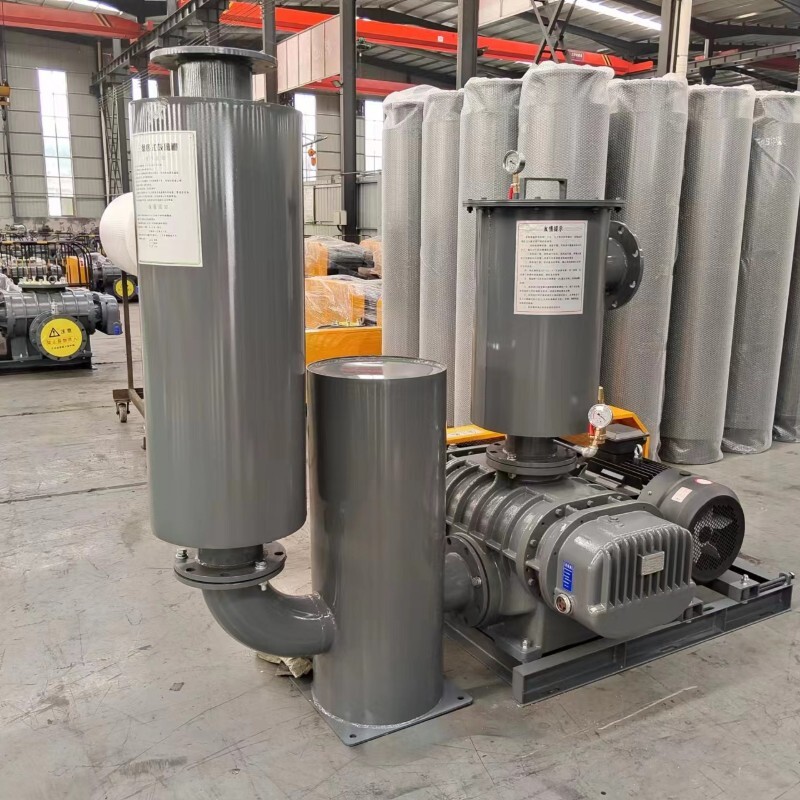 MBTSR 罗茨真空泵