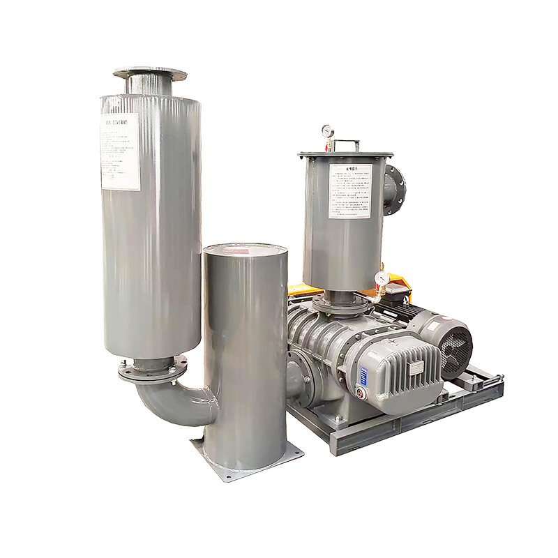 MBTSR 罗茨真空泵