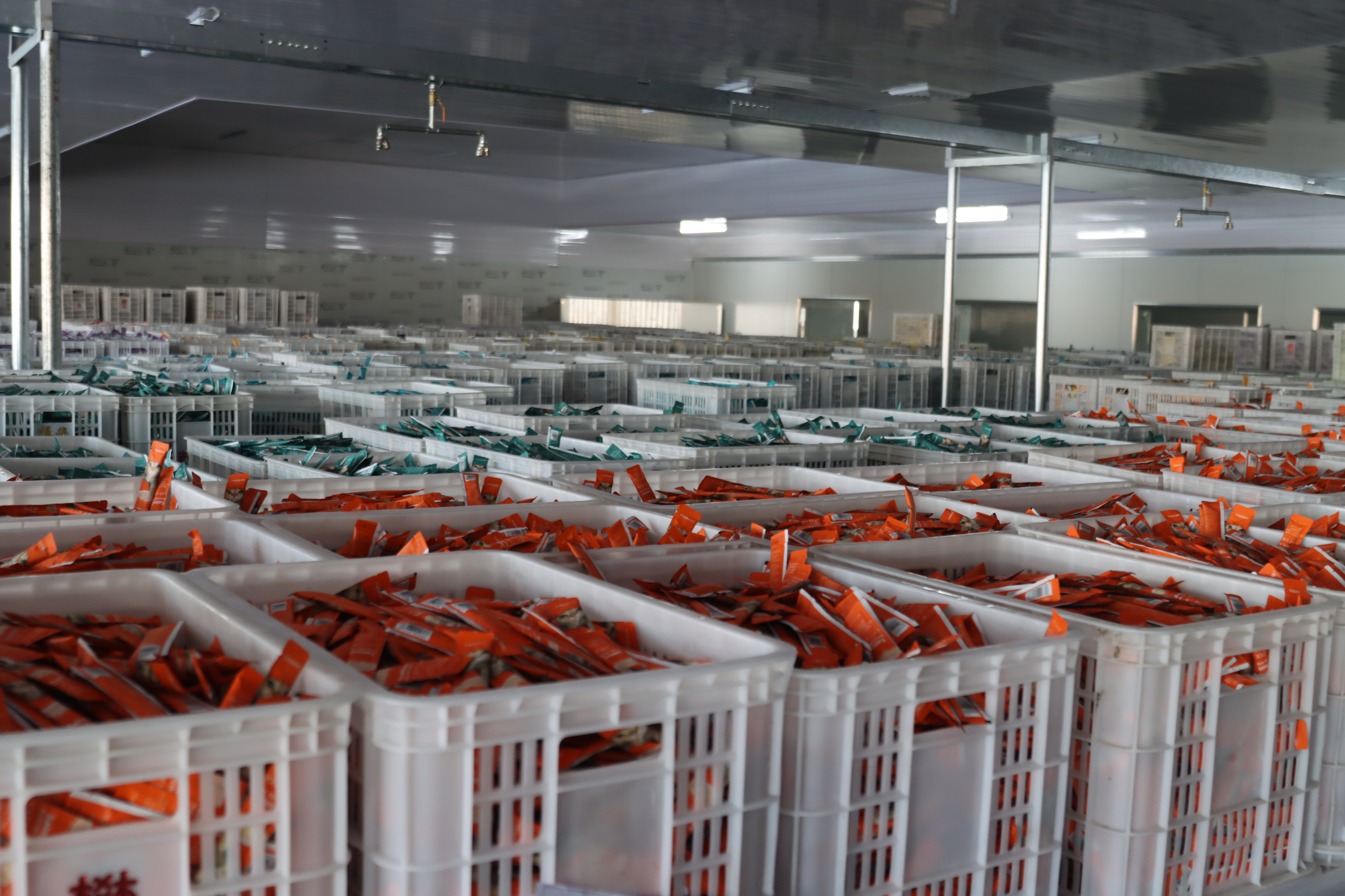 生产车间 (8).JPG