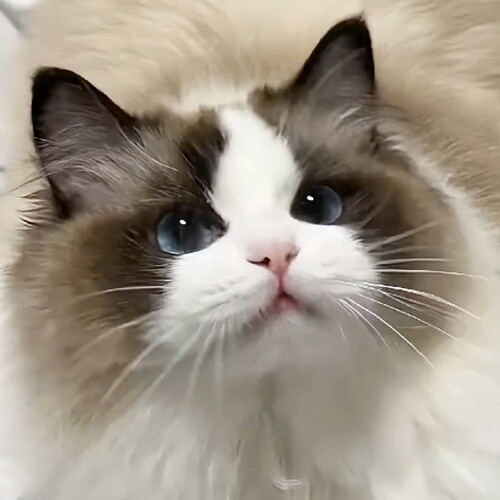 Ingredients of Cat Treats in Tubes