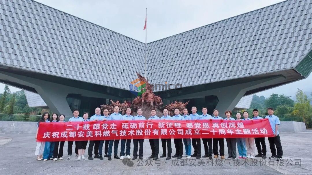 从火把到燃气发电机组：安美科的二十年