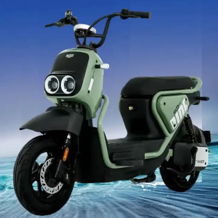 2025 Popular 48V60V 500W Power Electric Bicycle Motorcycle Digital Display Two-wheel Electric Motorcycle with Led Headlight