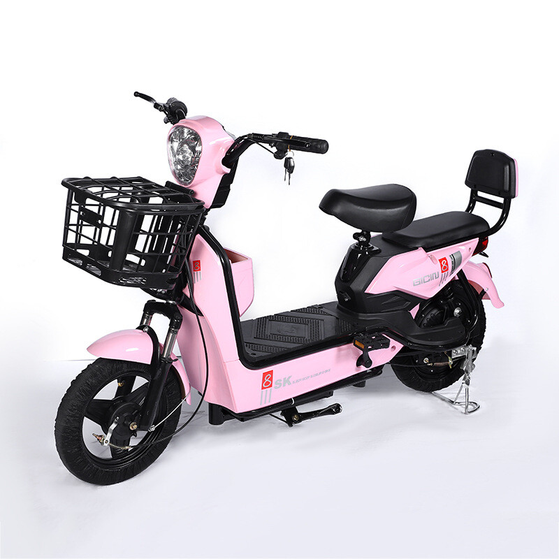 Hot Manufacturers Direct Sales Cost-effective Motorized Bicycle 350W Motor 2 Wheel Electric Bicycle With Brake Taillights