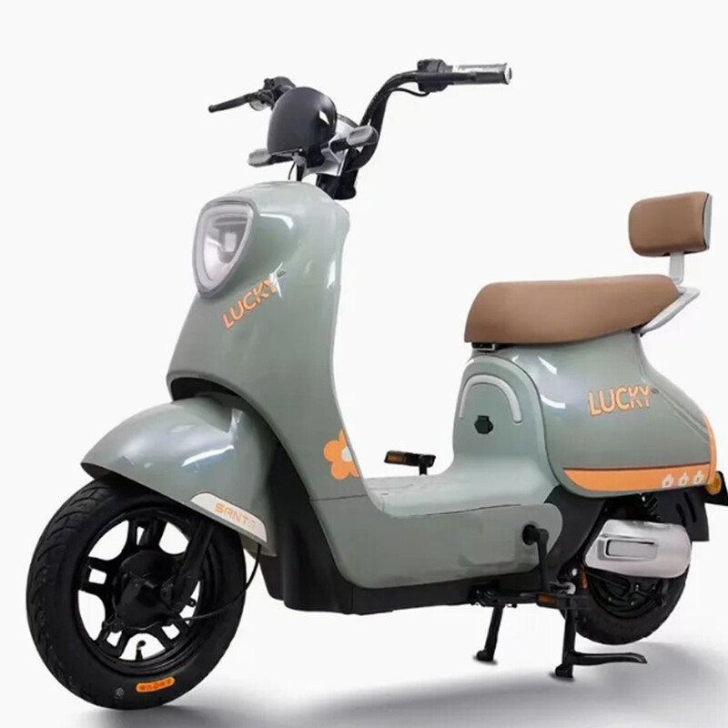 Exquisite Workmanship Two-wheel Electric Bicycle Cost-effective 500w Third Gear Shift Electric Bicycle with Digital Display