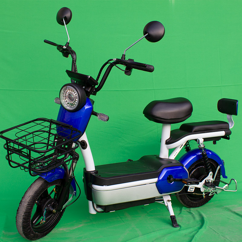 Hot Sale Electric Scooters Powerful Adult Electric City Bike 48V 350W Custom Logo Multi-color Optional Electric Bicycle