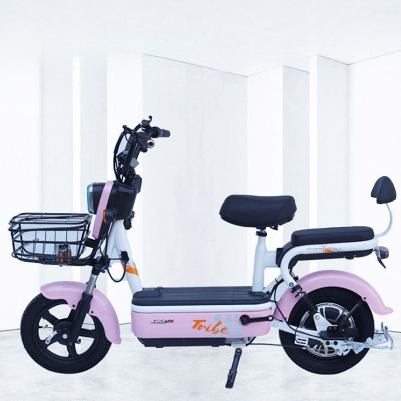 The Latest Electric Bicycle 350W Motor Adult Electric Motorcycle 48V12A Two-wheel Electric Bicycle With LED Headlight