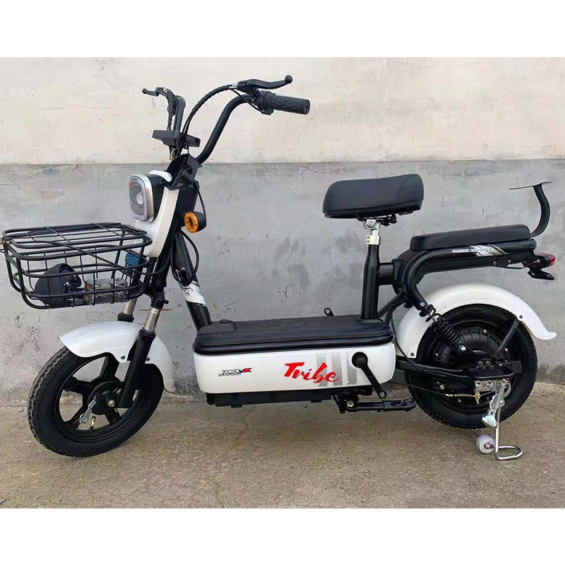 The Latest Electric Bicycle 350W Motor Adult Electric Motorcycle 48V12A Two-wheel Electric Bicycle With LED Headlight
