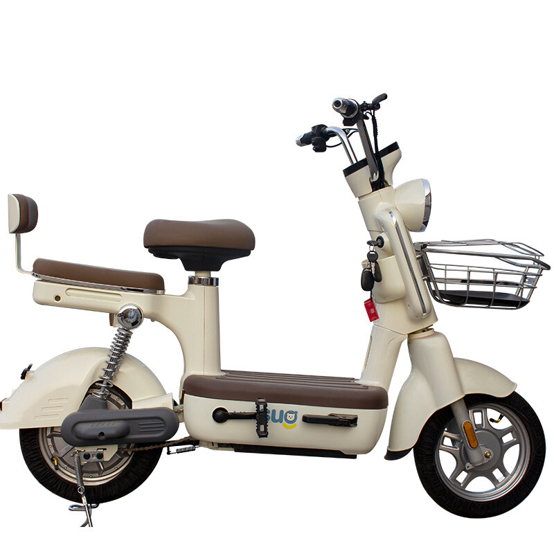 New Color Cost-effective Motorized Bicycle 48V 350W Third Gear Shift Electric Bicycle Sale at a Low Price