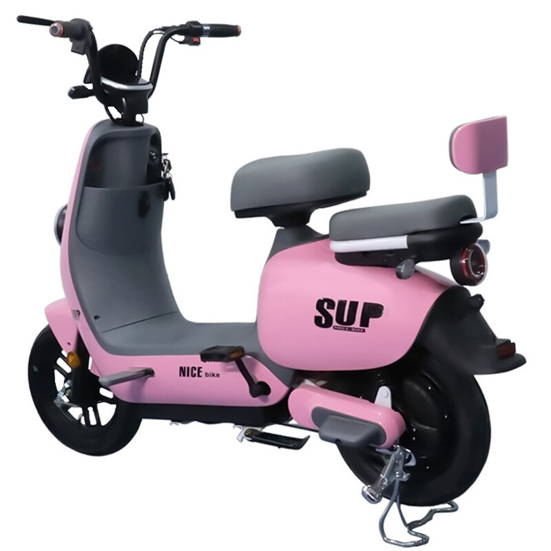 China Modern Styling Two Wheels Electric Scooter Bike Multi-color Optional 400W Electric Bicycle With Pedals
