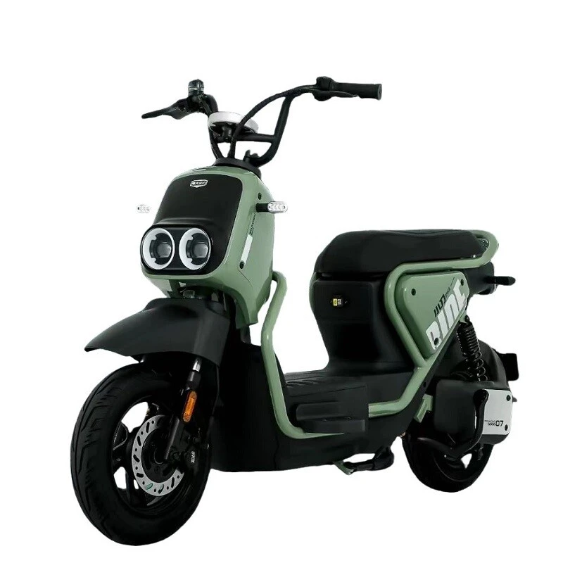 2025 Popular 48V60V 500W Power Electric Bicycle Motorcycle Digital Display Two-wheel Electric Motorcycle with Led Headlight