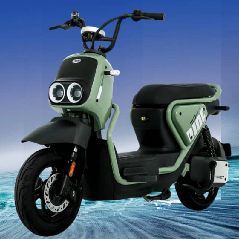 2025 Popular 48V60V 500W Power Electric Bicycle Motorcycle Digital Display Two-wheel Electric Motorcycle with Led Headlight
