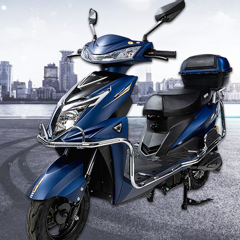 2025 Wholesale Cool Powerful 800W 2 Wheels Adult Electric Bicycle Motor Cycle Cost-effective 48V60V Electric Motorcycle