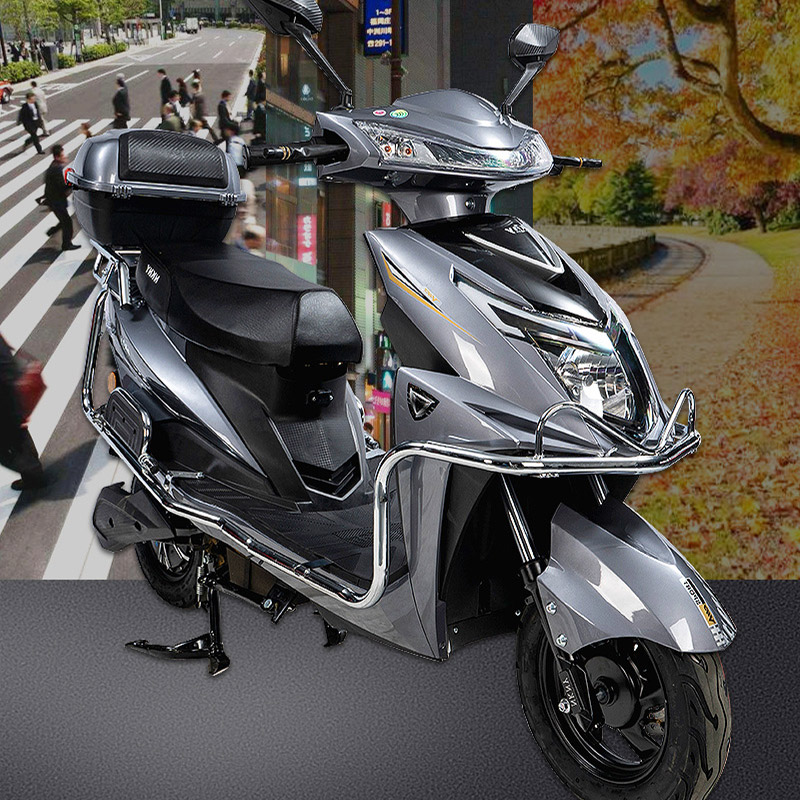 2025 Wholesale Cool Powerful 800W 2 Wheels Adult Electric Bicycle Motor Cycle Cost-effective 48V60V Electric Motorcycle