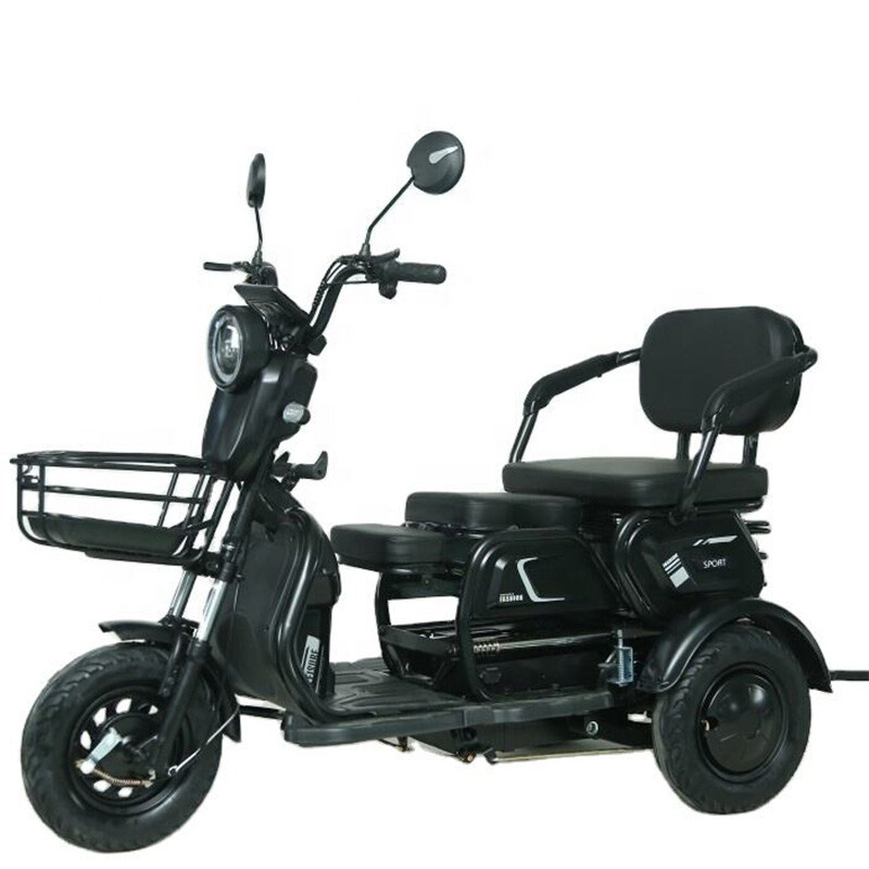Wholesale/Custom Newest Popular 12-tube Controller Electric Cargo E Tricycle 1000W Electric Scooter 3 Wheel Tricycle Moped Trike