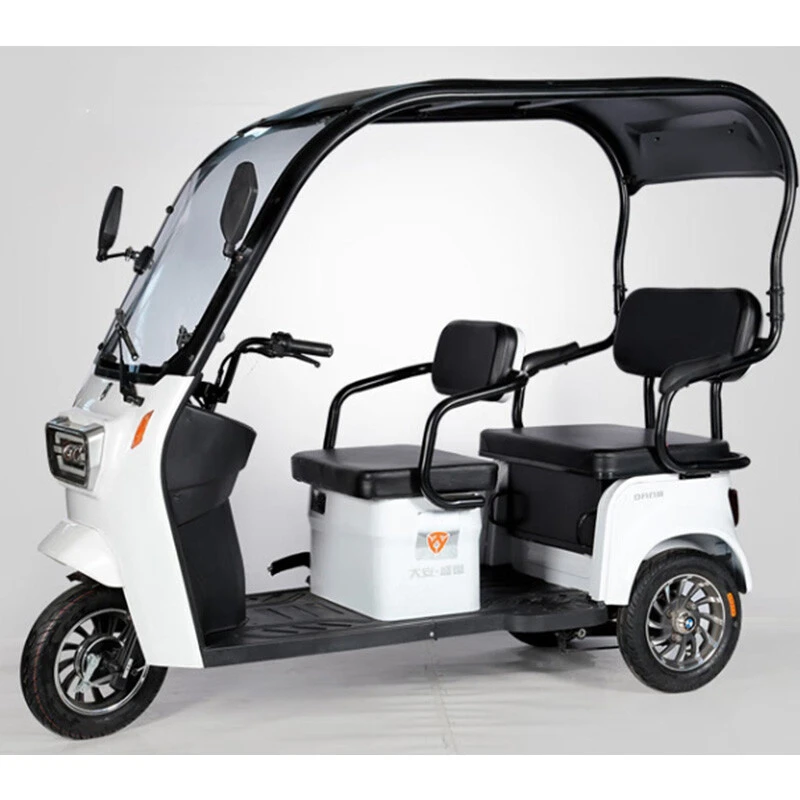 New Design Three Wheel Electric Bike Adults Multi-color Optional 800W Powerful Electric Tricycle for Cargo and Passenger