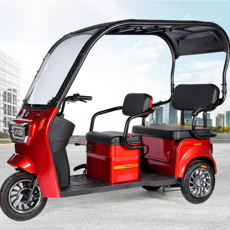 New Design Three Wheel Electric Bike Adults Multi-color Optional 800W Powerful Electric Tricycle for Cargo and Passenger