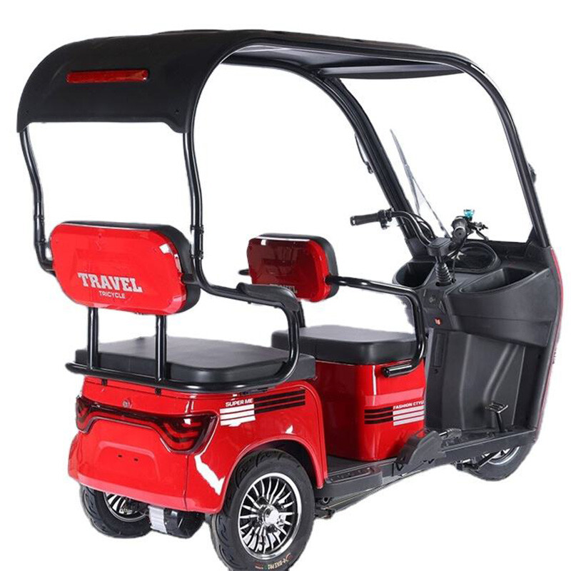 New Design Three Wheel Electric Bike Adults Multi-color Optional 800W Powerful Electric Tricycle for Cargo and Passenger