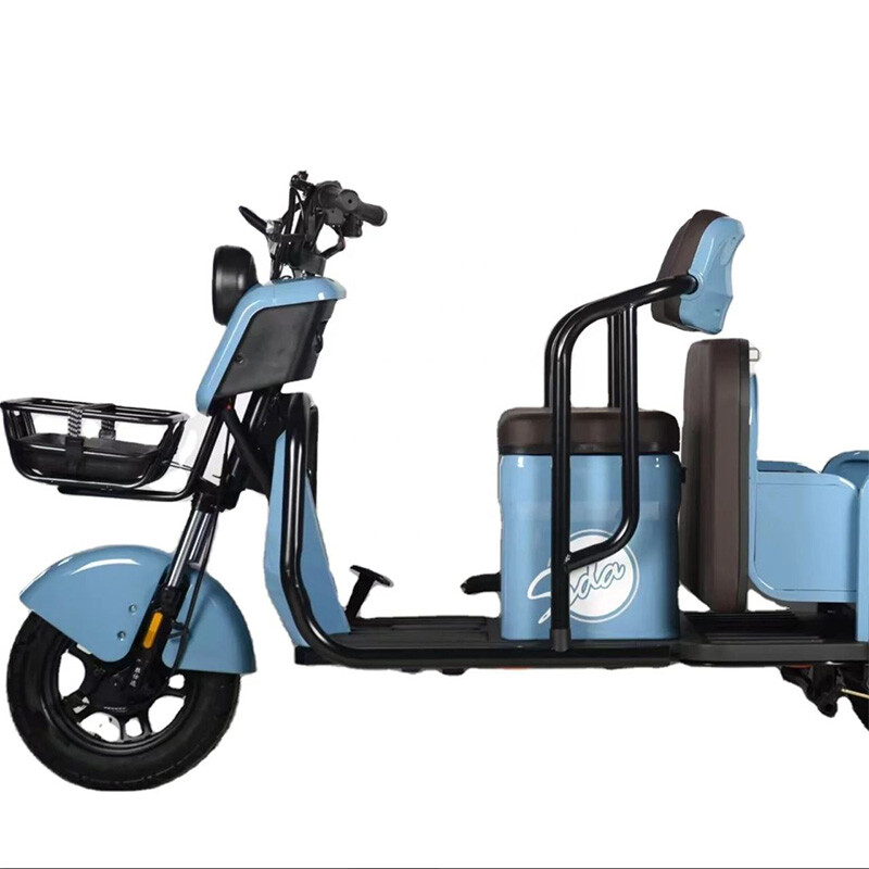 New Design Three Wheel Electric Bike Adults Multi-color Optional 800W Powerful Electric Tricycle for Cargo and Passenger
