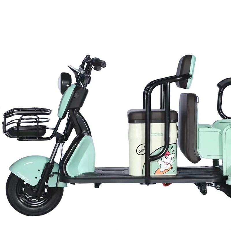 New Design Three Wheel Electric Bike Adults Multi-color Optional 800W Powerful Electric Tricycle for Cargo and Passenger
