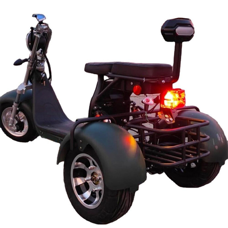 Chinese Factory Produce New Electric Scooter 3 Wheel Tricycle Hot Sale New 800w Electric Tricycles for Adults