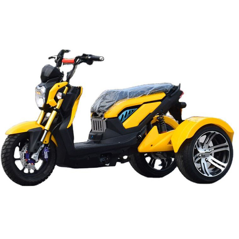 Chinese Factory Produce New Electric Scooter 3 Wheel Tricycle Hot Sale New 800w Electric Tricycles for Adults