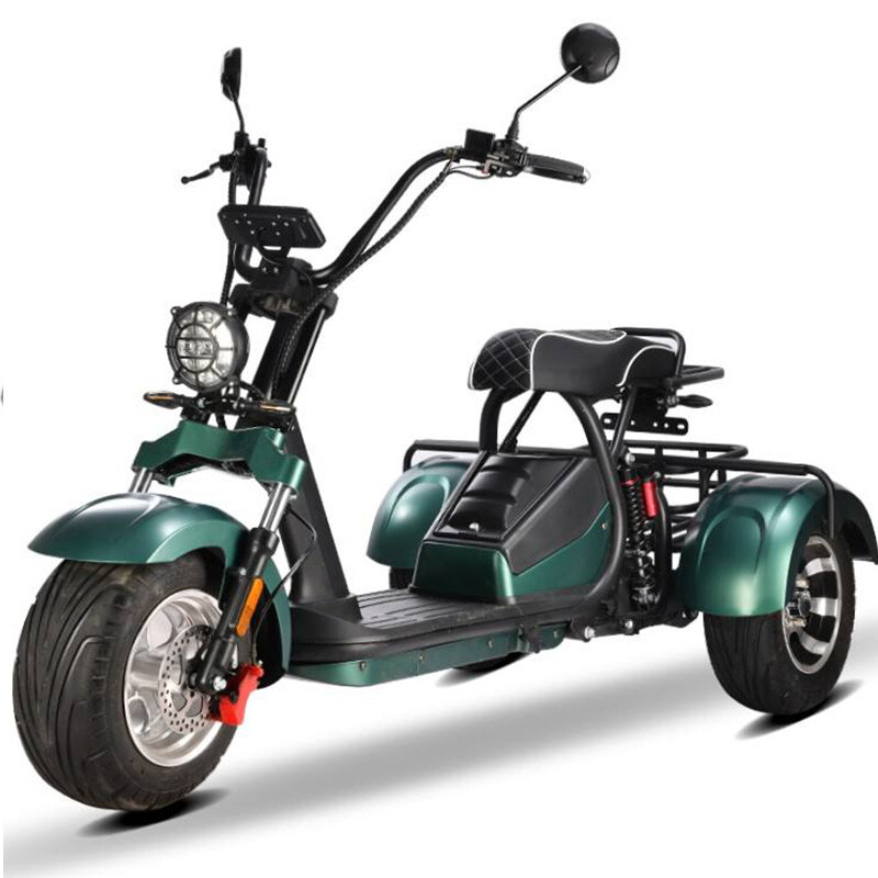 Chinese Factory Produce New Electric Scooter 3 Wheel Tricycle Hot Sale New 800w Electric Tricycles for Adults