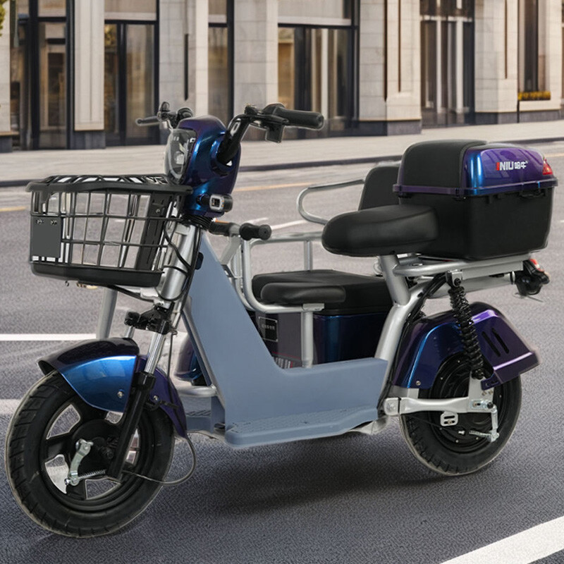 Chinese Factory Produce New Electric Scooter 3 Wheel Tricycle Hot Sale New 800w Electric Tricycles for Adults