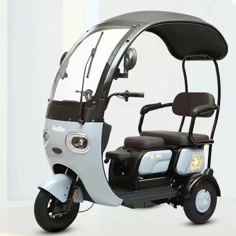 China New Style 3 Wheel Electric Bike Adults Multi-color Optional Good Quality 800W 48V60V72V Electric Tricycle E Moped Trike