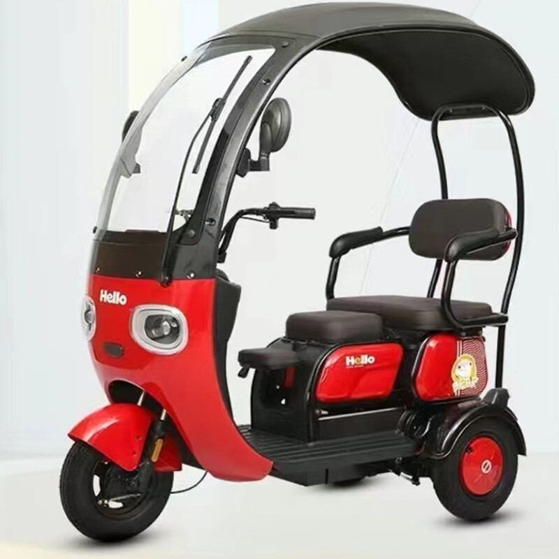 China New Style 3 Wheel Electric Bike Adults Multi-color Optional Good Quality 800W 48V60V72V Electric Tricycle E Moped Trike