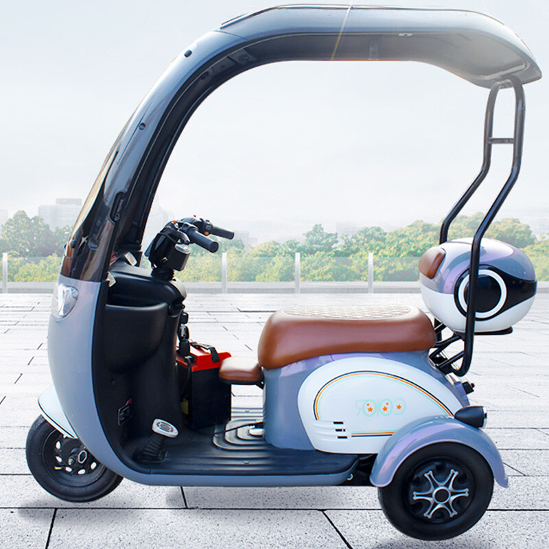 Factory Direct Sales High Power 2 Seats 3 Wheel Bike Electric Load Capacity 200kg 500W48V Electric Tricycles for Adults