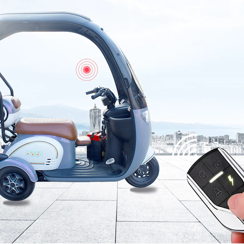 Factory Direct Sales High Power 2 Seats 3 Wheel Bike Electric Load Capacity 200kg 500W48V Electric Tricycles for Adults