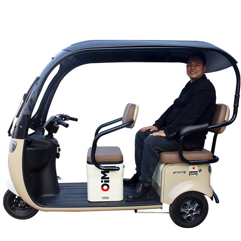 Factory Sales High-speed Electric Tricycle 600W New Model Vacuum Tyre Electric Tricycle for Wholesale/Custom