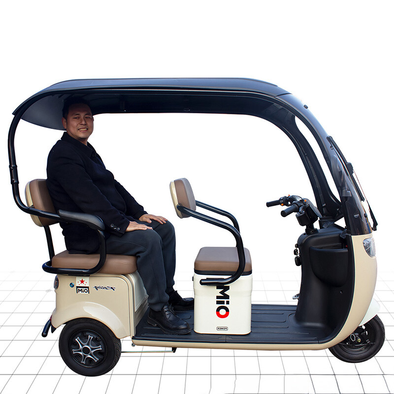 Factory Sales High-speed Electric Tricycle 600W New Model Vacuum Tyre Electric Tricycle for Wholesale/Custom