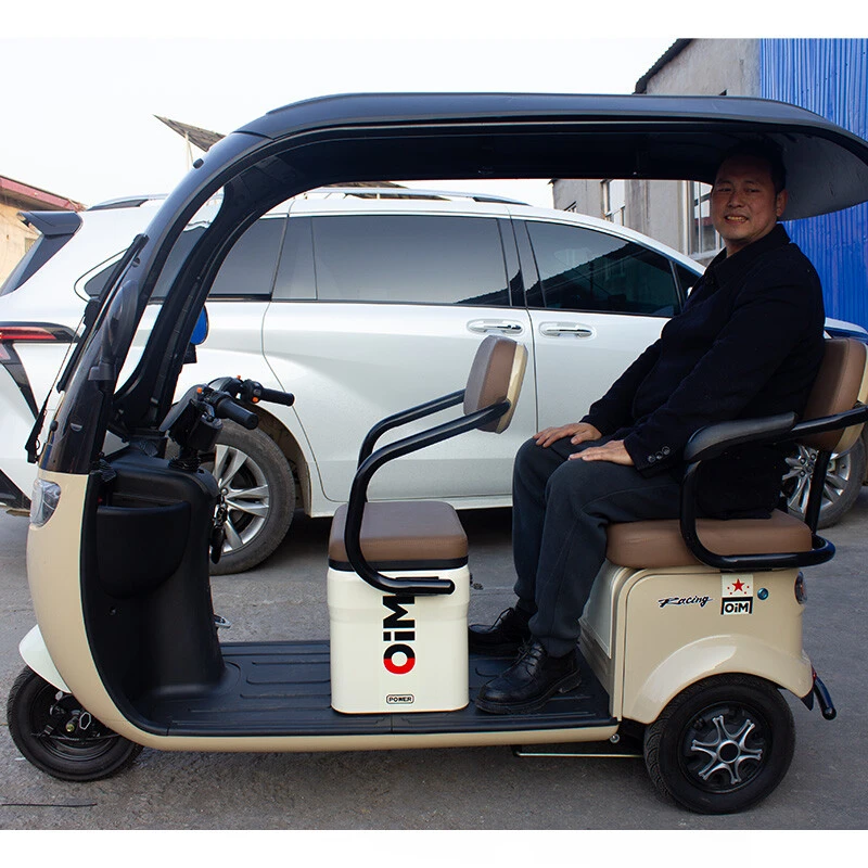 Factory Sales High-speed Electric Tricycle 600W New Model Vacuum Tyre Electric Tricycle for Wholesale/Custom