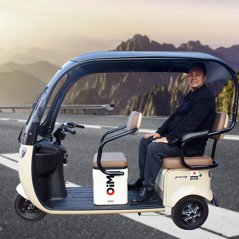 Factory Sales High-speed Electric Tricycle 600W New Model Vacuum Tyre Electric Tricycle for Wholesale/Custom