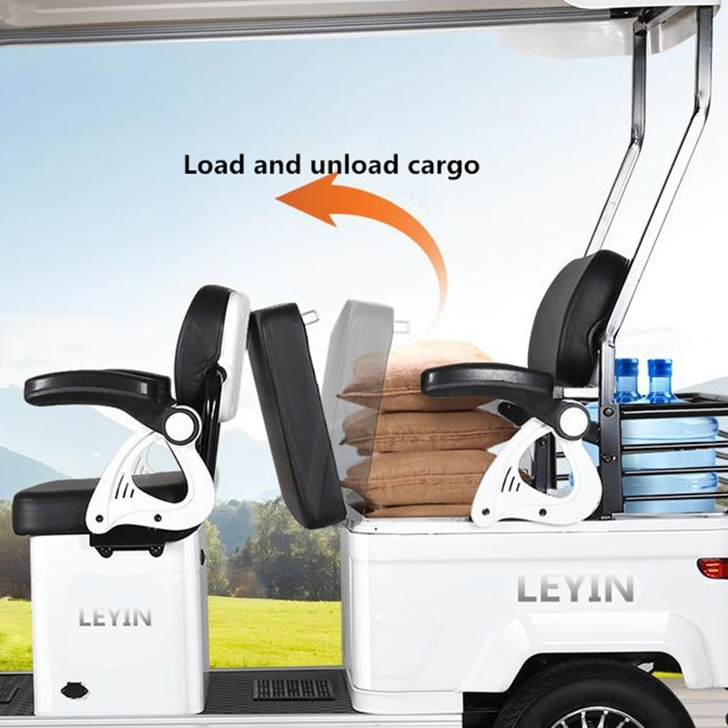 Multi-color Optional Both Passenger Cargo Electric Four-wheeler Cost-effective 650W 15-tube Controller Electric Quadricycle