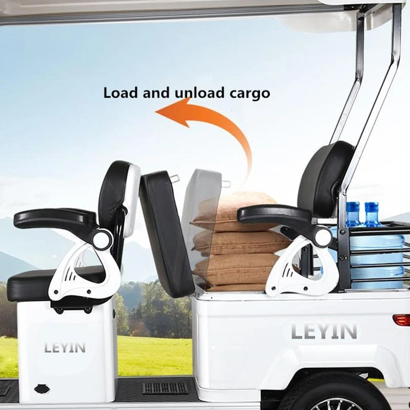 Chinese Factory Custom Logo Four-Wheels Electric Sightseeing Car 650W Electric Adult Quadricycle with Shed