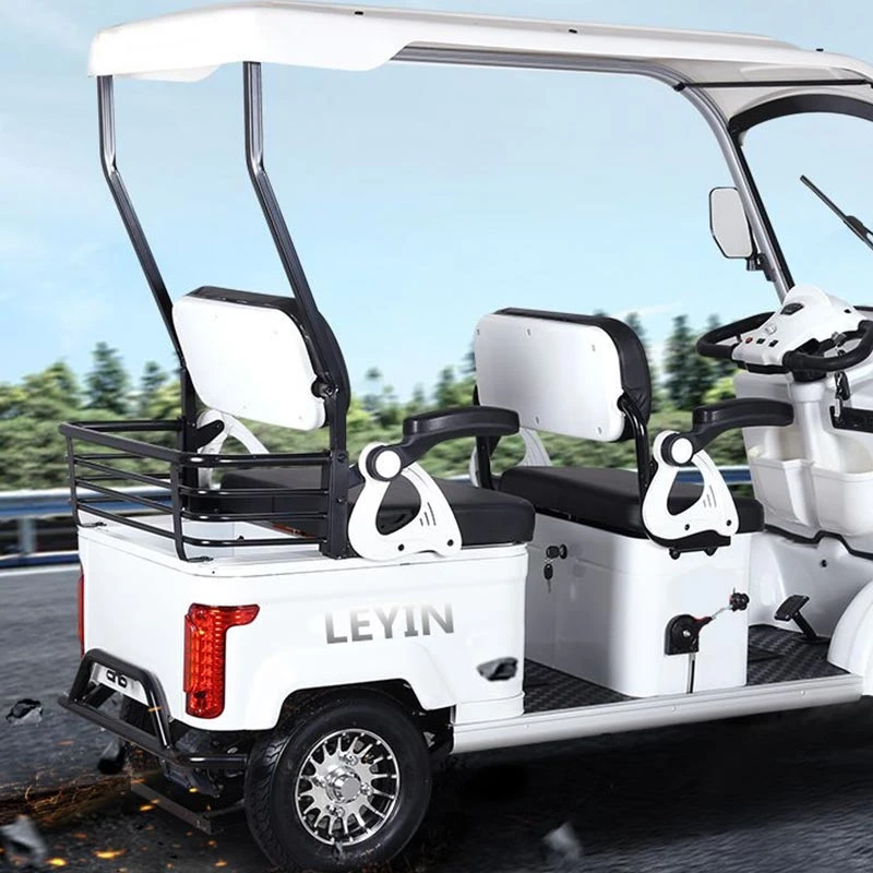 Chinese Factory Custom Logo Four-Wheels Electric Sightseeing Car 650W Electric Adult Quadricycle with Shed