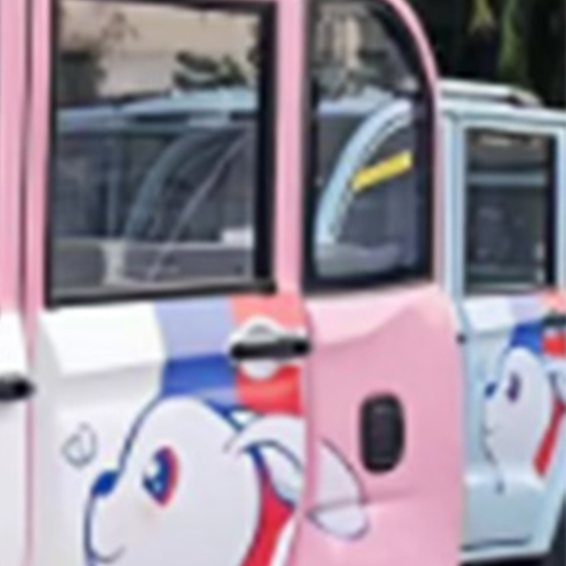 High Quality Four-wheel Electric Quadricycle 60KM Max Range 300kg Max Loading 1000W Electric Quadricycle