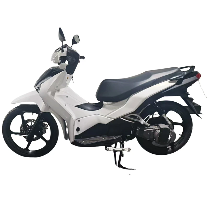 New Arrival Quality Assurance Electric Motorcycle OEM/ODM 2500W Electric Motorcycle for Daily Commuting
