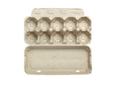 HUEVO DE 10 CÉLULAS CARTON@1x.jpg