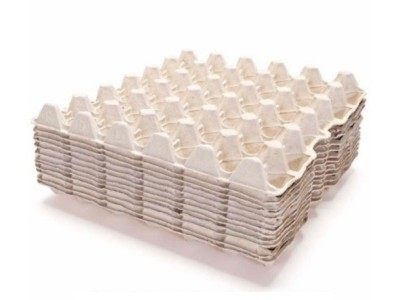 30 CÉLULAS DE HUEVO TRAY@1x.jpg