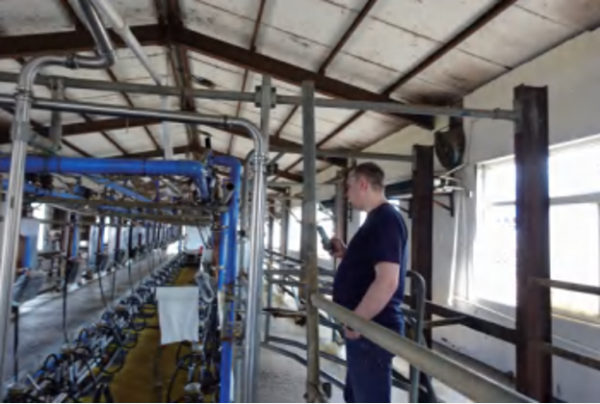 Новейшая доильная эра