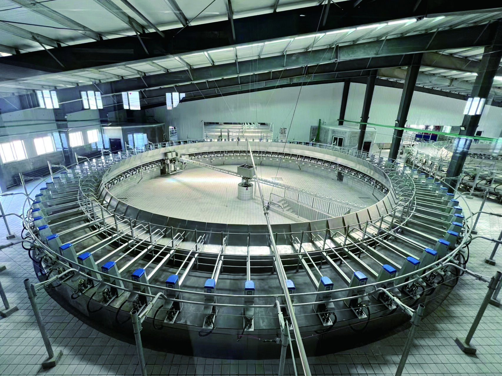 NEMA4300 转台挤奶设备 NEMA4300 Роторное доильное оборудование.jpg