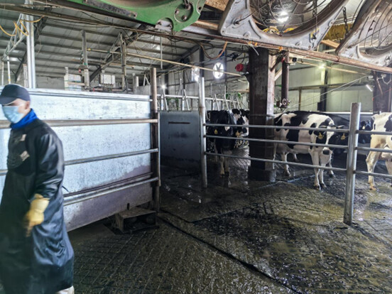 1740386983851.jpg 1740386983851.jpg