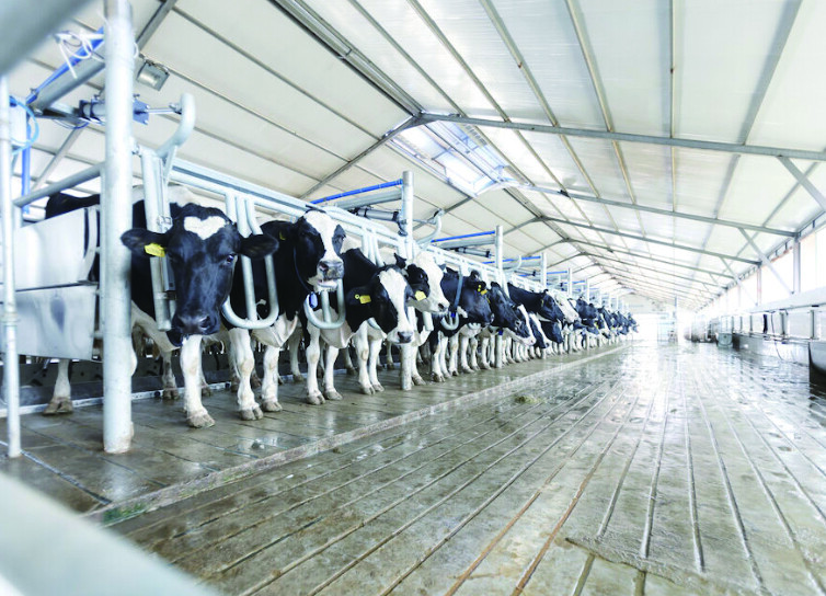 Добиваетесь ли вы максимальной производительности от своего доильного оборудования? Добиваетесь ли вы максимальной производительности от своего доильного оборудования?