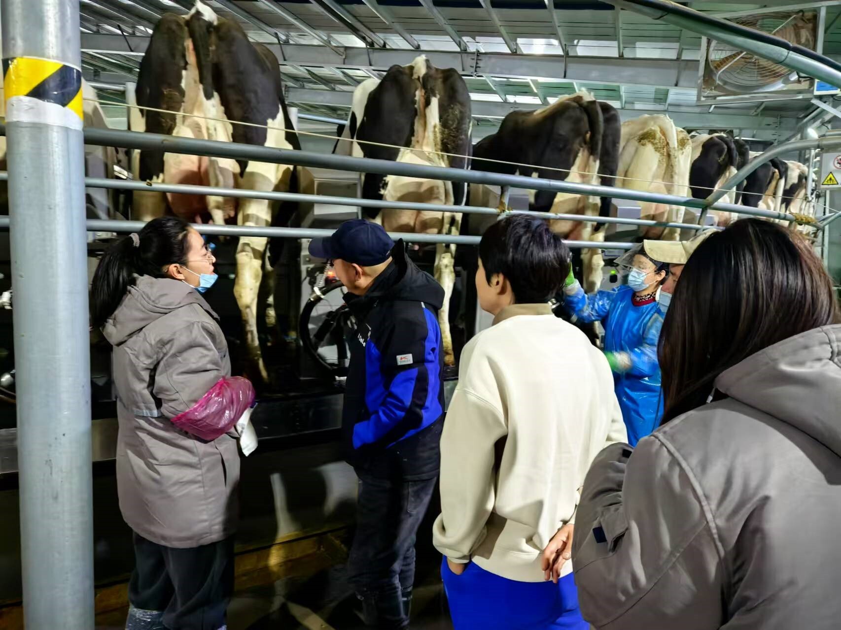 Умная революция в доении: Jinan Fowcows Agri-Tech Co.,Ltd представляет оборудование и аксессуары нового поколения Умная революция в доении: Jinan Fowcows Agri-Tech Co.,Ltd представляет оборудование и аксессуары нового поколения