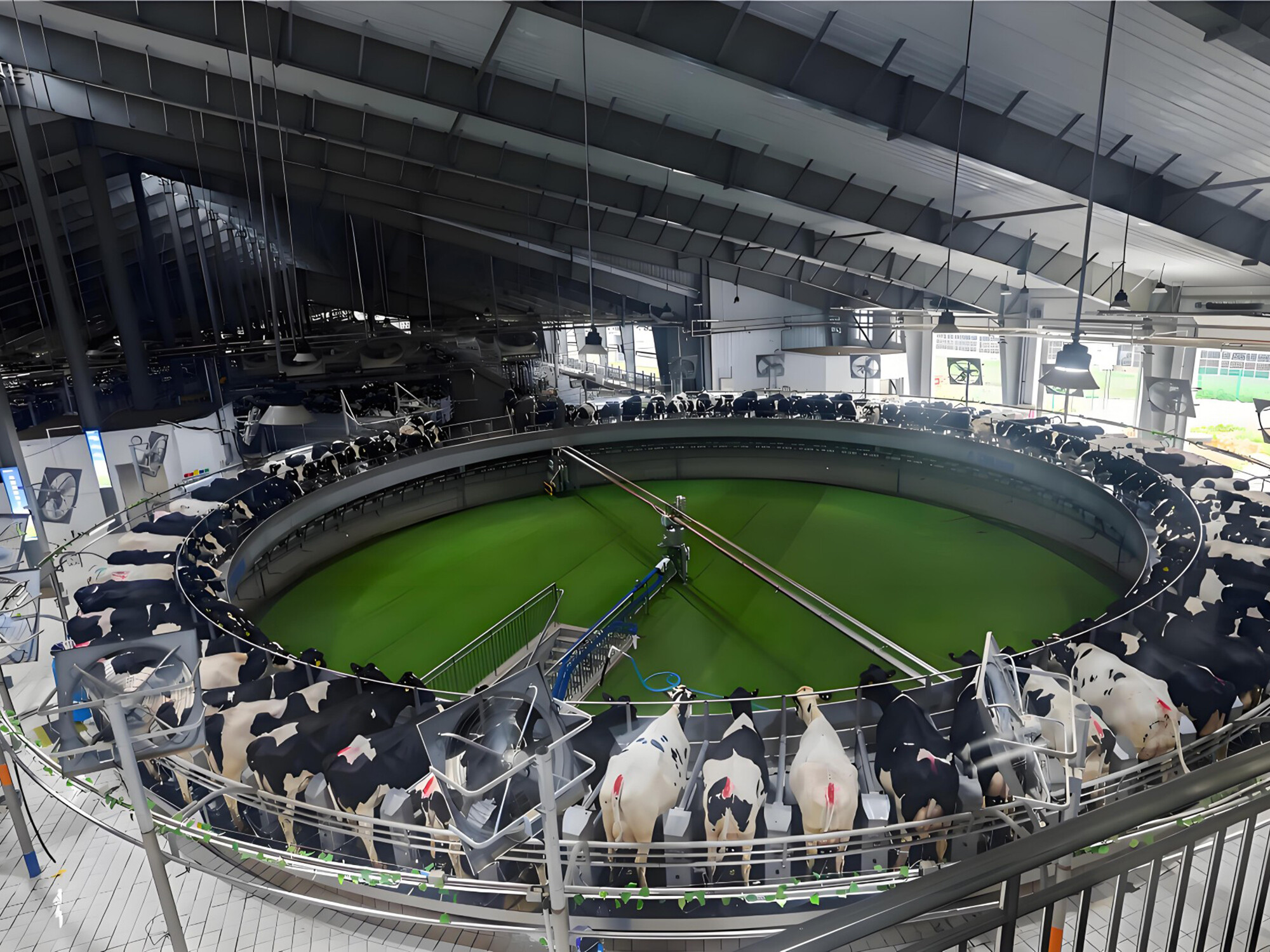 Решения по модернизации доильного зала.jpg